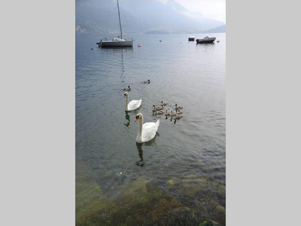 Appartamento Vista Lago - Betta Lezzeno Kültér fotó